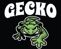 cropped-Cartoon-of-Green-gecko-logo.jpg